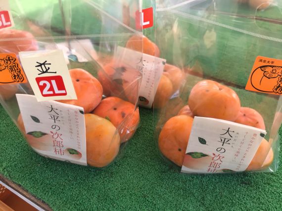 浜松　次郎柿