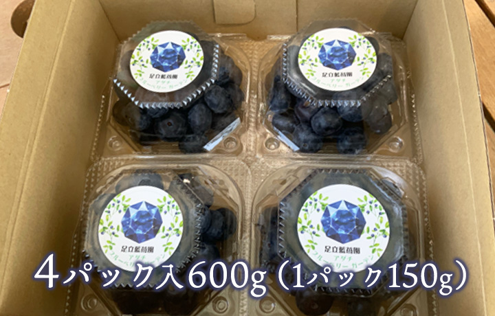 ブルーベリー4パック入600g（1パック150g）