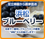 浜松ブルーベリー｜日本で一番早いブルーベリーの産地“浜松”からお届けします！！