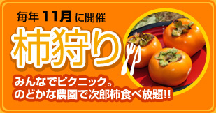 毎年11月に開催　柿狩り　みんなでピクニック。のどかな農園で次郎柿食べ放題！！