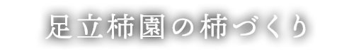 足立柿園の柿づくり