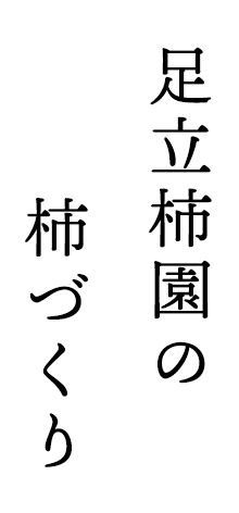 足立柿園の柿づくり