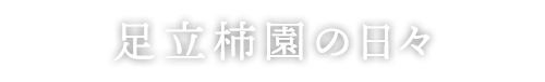 足立柿園の日々