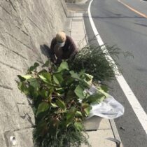 地元の道路の草刈り作業