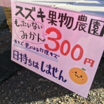 雹で傷ついたミカンの販売