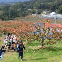 コロナ禍での浜松まつり