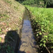 用水路の草刈り