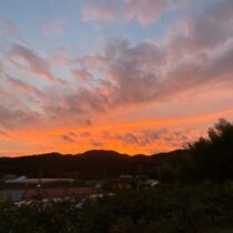 夕焼けと次郎柿