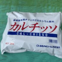 カルシウムで骨太の木へ