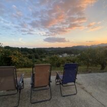 柿の摘み取り体験の準備