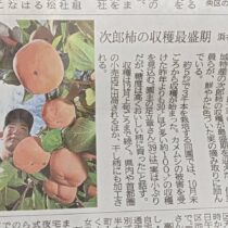 妖怪「いそがし」