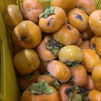 足立柿園直売所