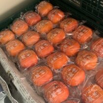 とっておきの次郎柿