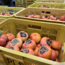 お疲れ様会をしました。