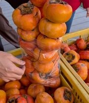 次郎柿詰め放題ギャラリー