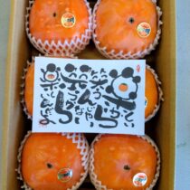 とっておき次郎柿 完売!