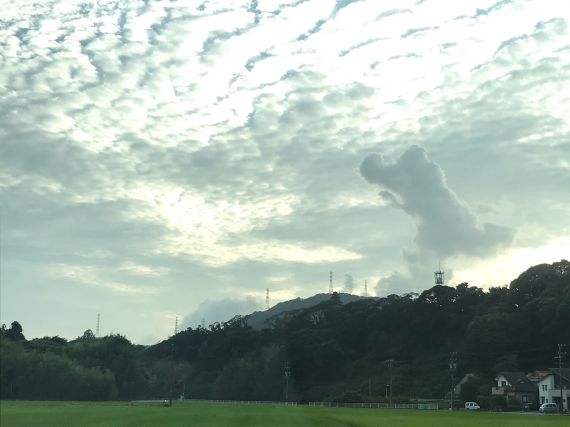 足立柿園　次郎柿