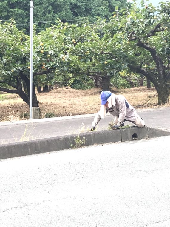 足立柿園