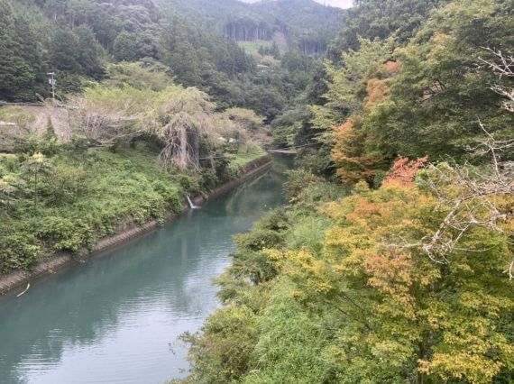 浜松　柿園