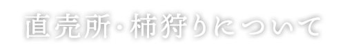 直売所・柿狩りについて