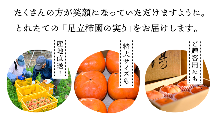 たくさんの方が笑顔になっていただけますように。とれたての「足立柿園の実り」をお届けします。「産地直送！」「特大サイズも」「ご贈答用にも」