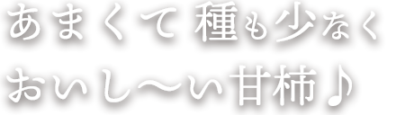 甘くて種も少なくそのまま美味しく食べられる甘柿です